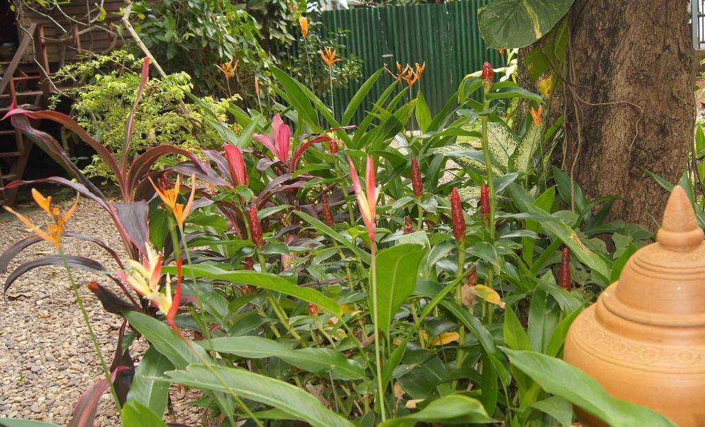 Mut Mee Garden 2* Nong Khai
